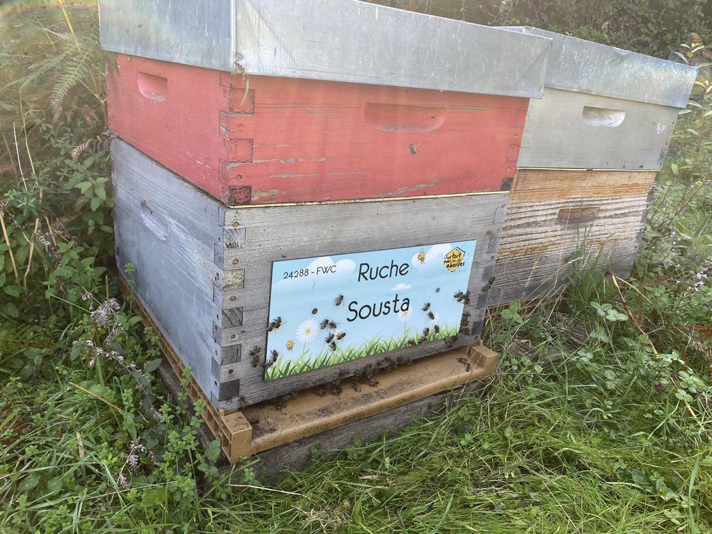La ruche Sousta