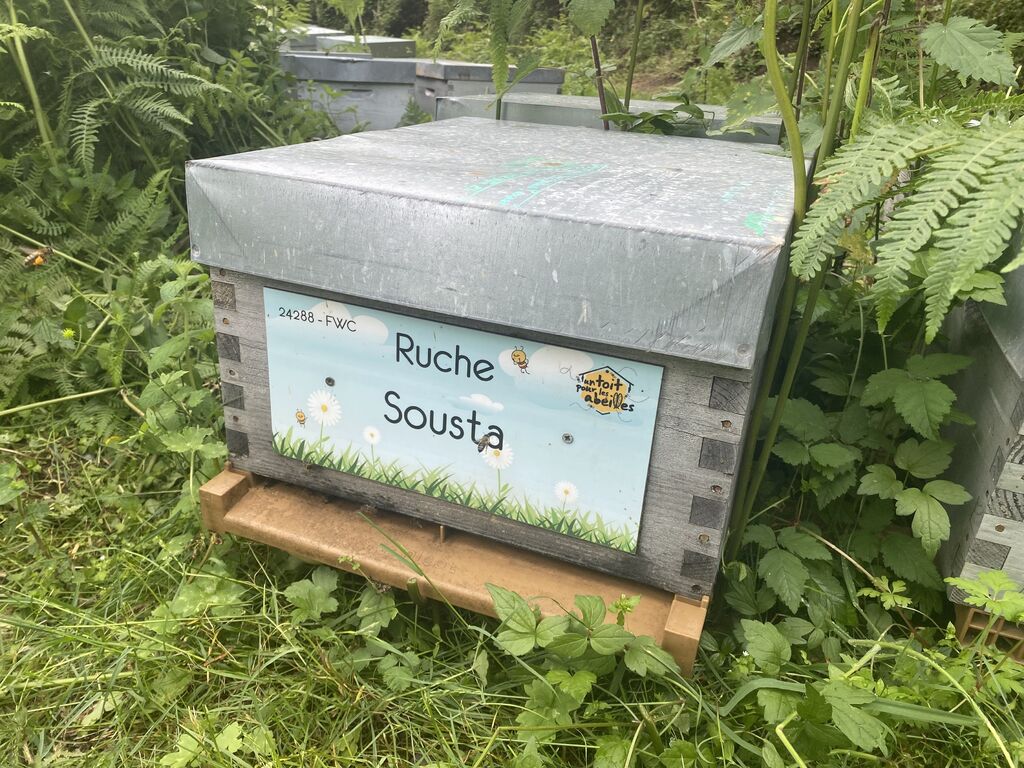 La ruche Sousta