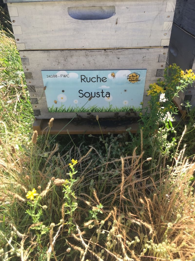 La ruche Sousta