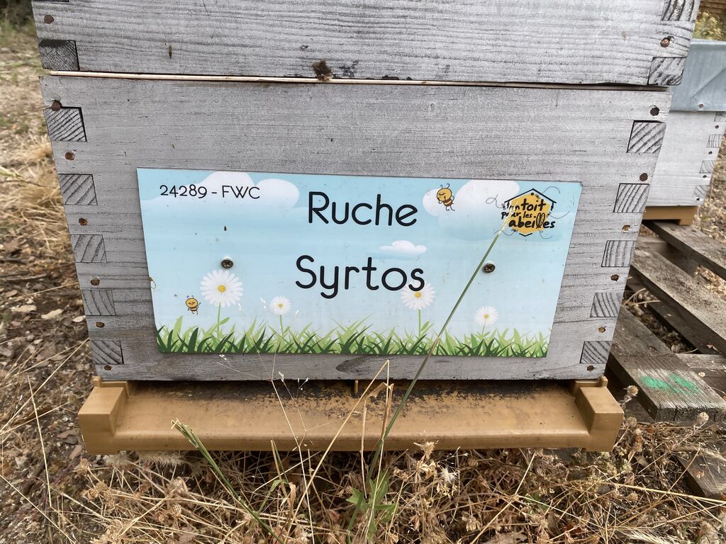 La ruche Syrtos