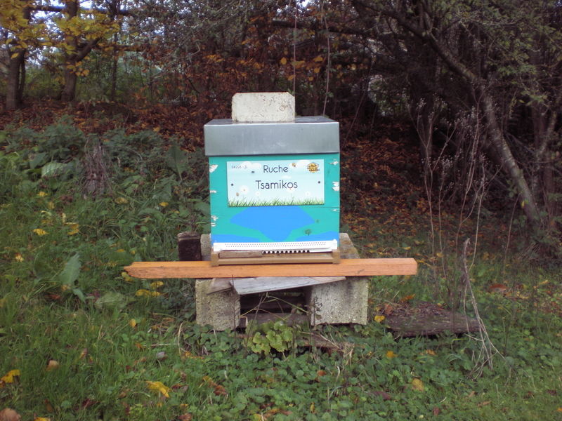 La ruche Tsamikos