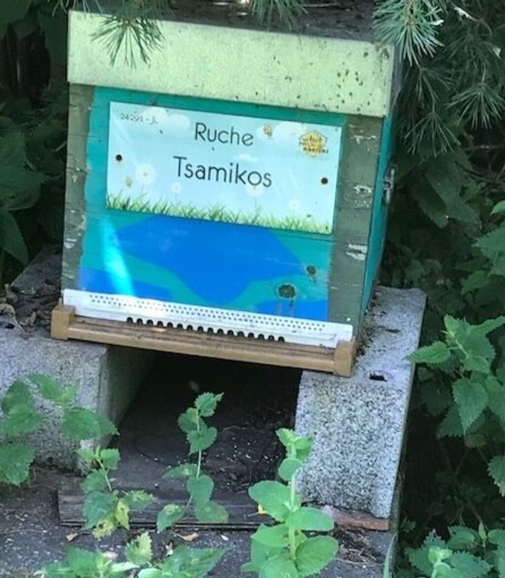 La ruche Tsamikos