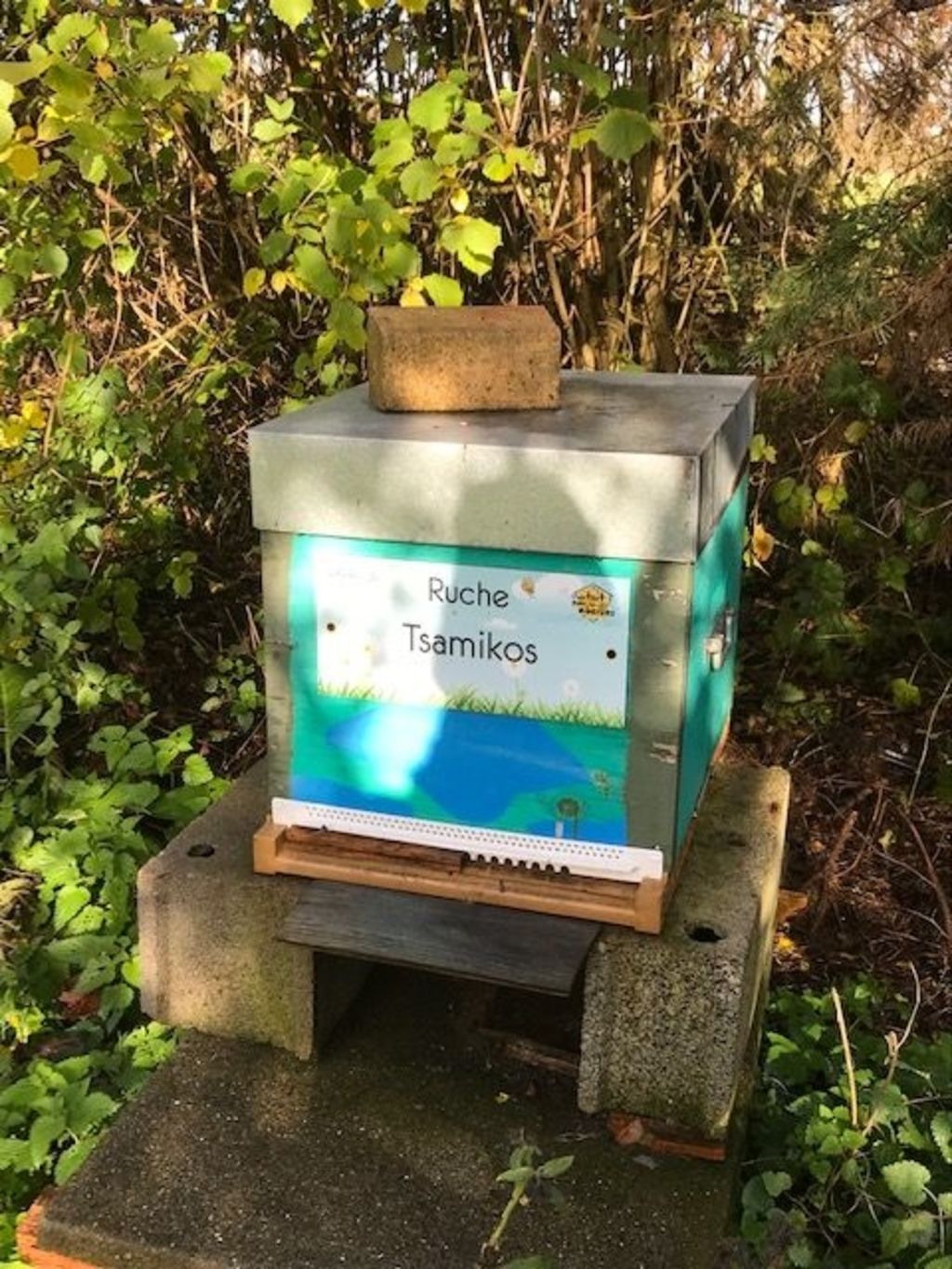 La ruche Tsamikos