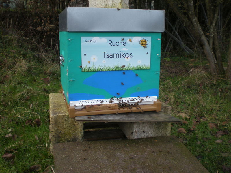 La ruche Tsamikos