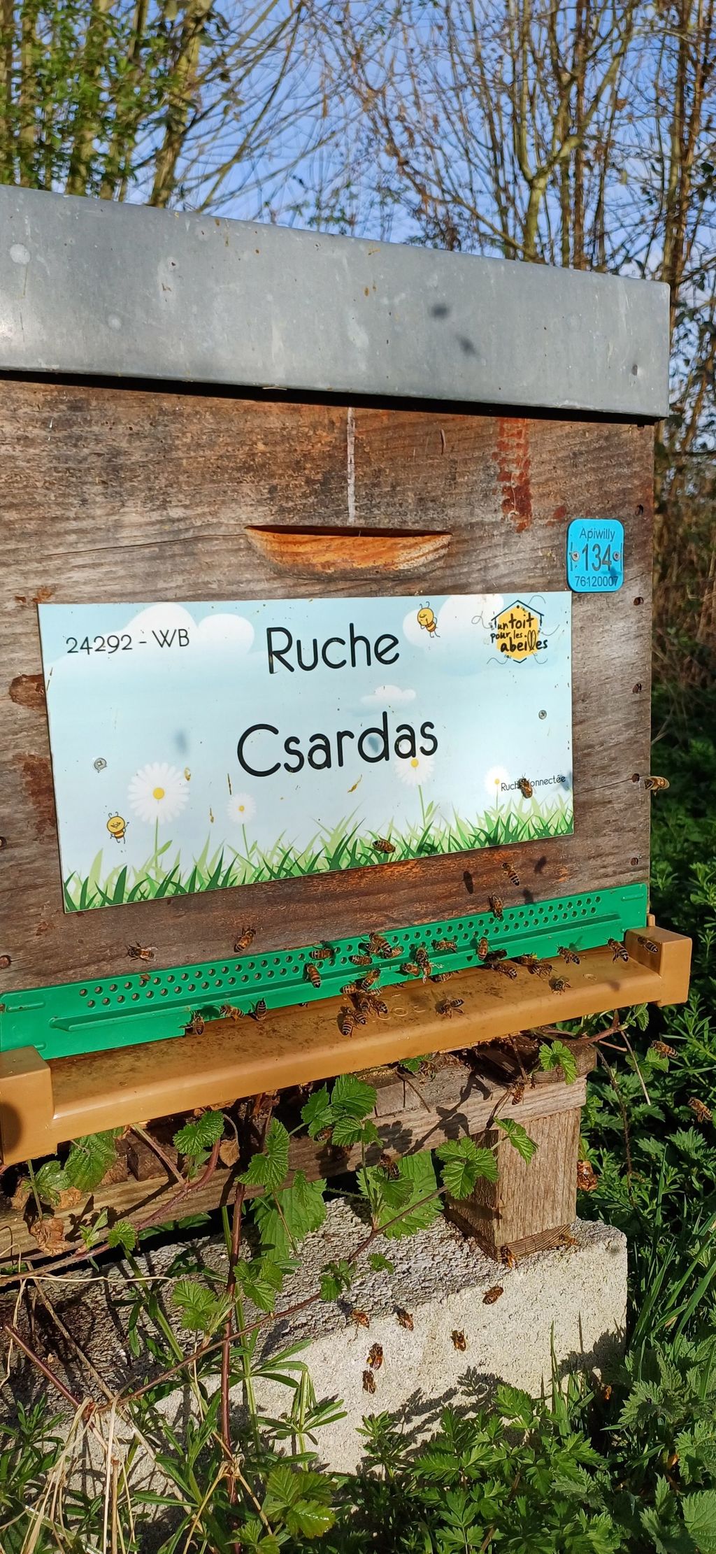 La ruche Csardas