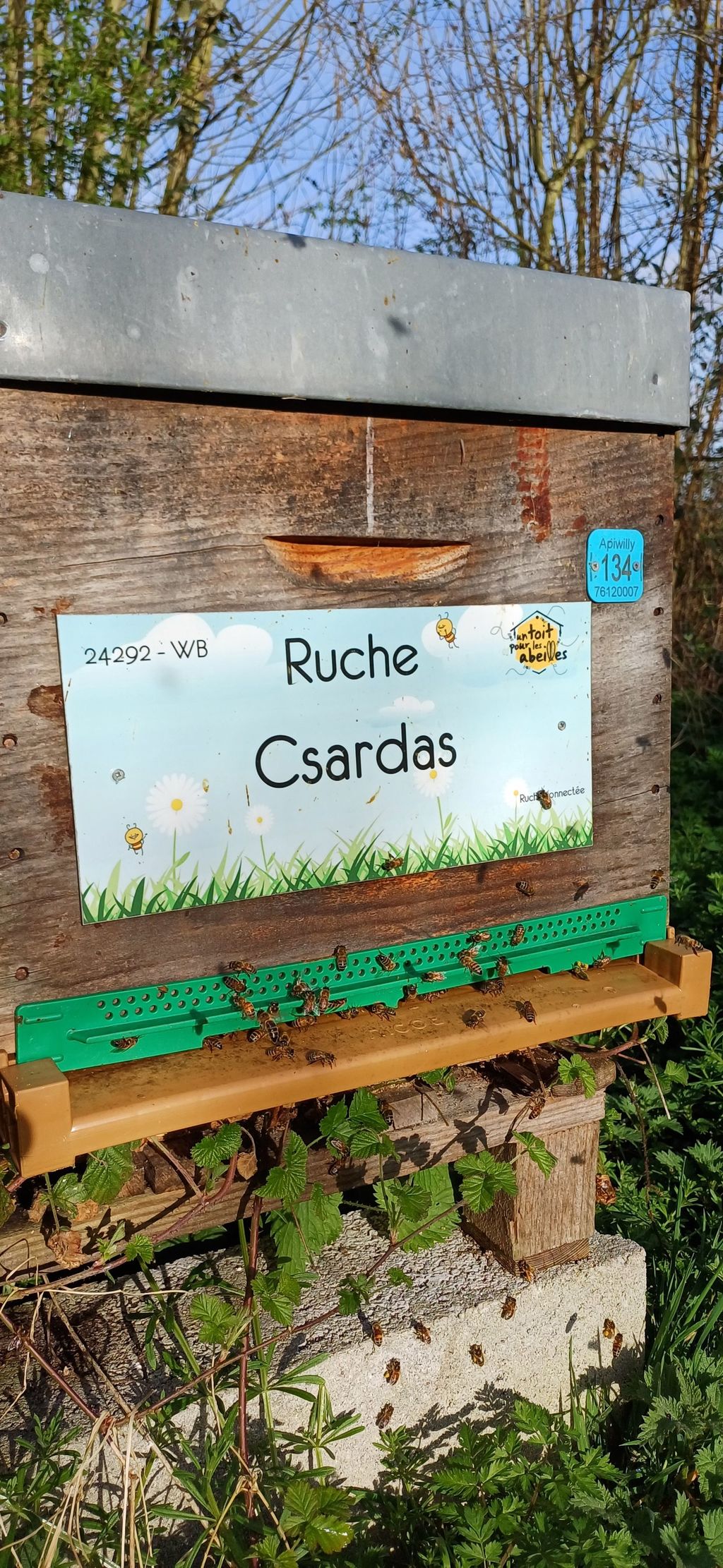 La ruche Csardas