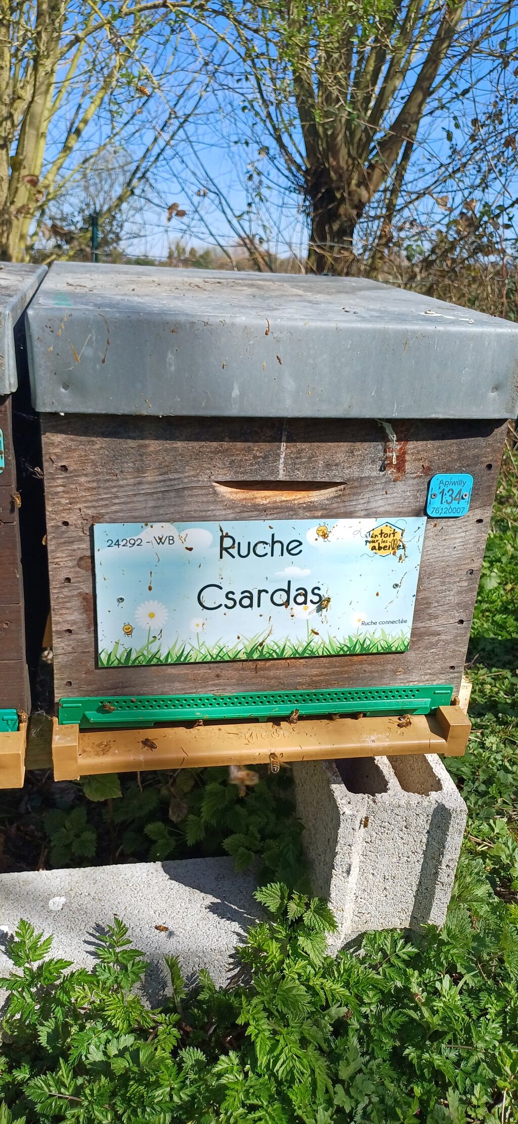 La ruche Csardas