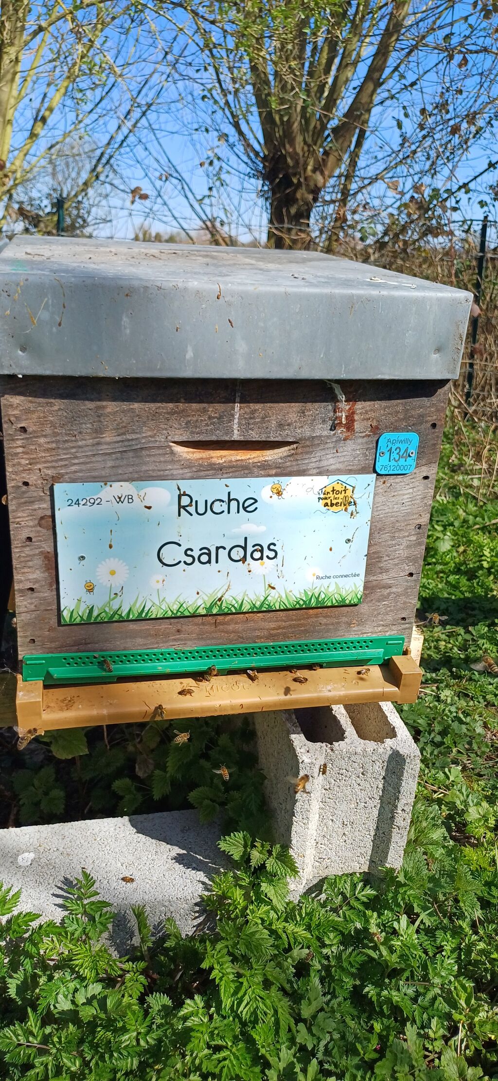 La ruche Csardas