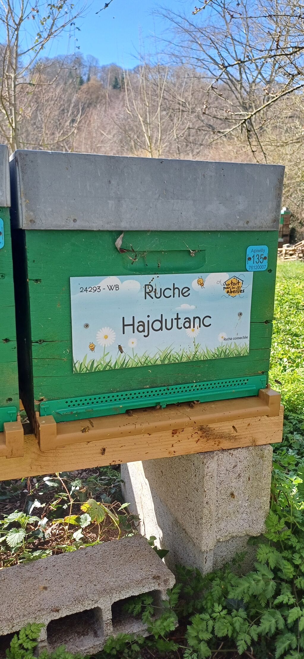 La ruche Hajdutanc