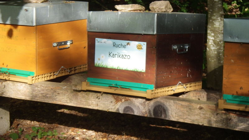 La ruche Karikazo