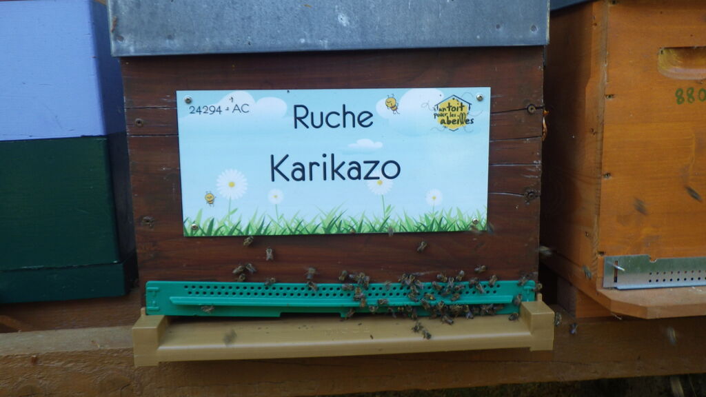 La ruche Karikazo
