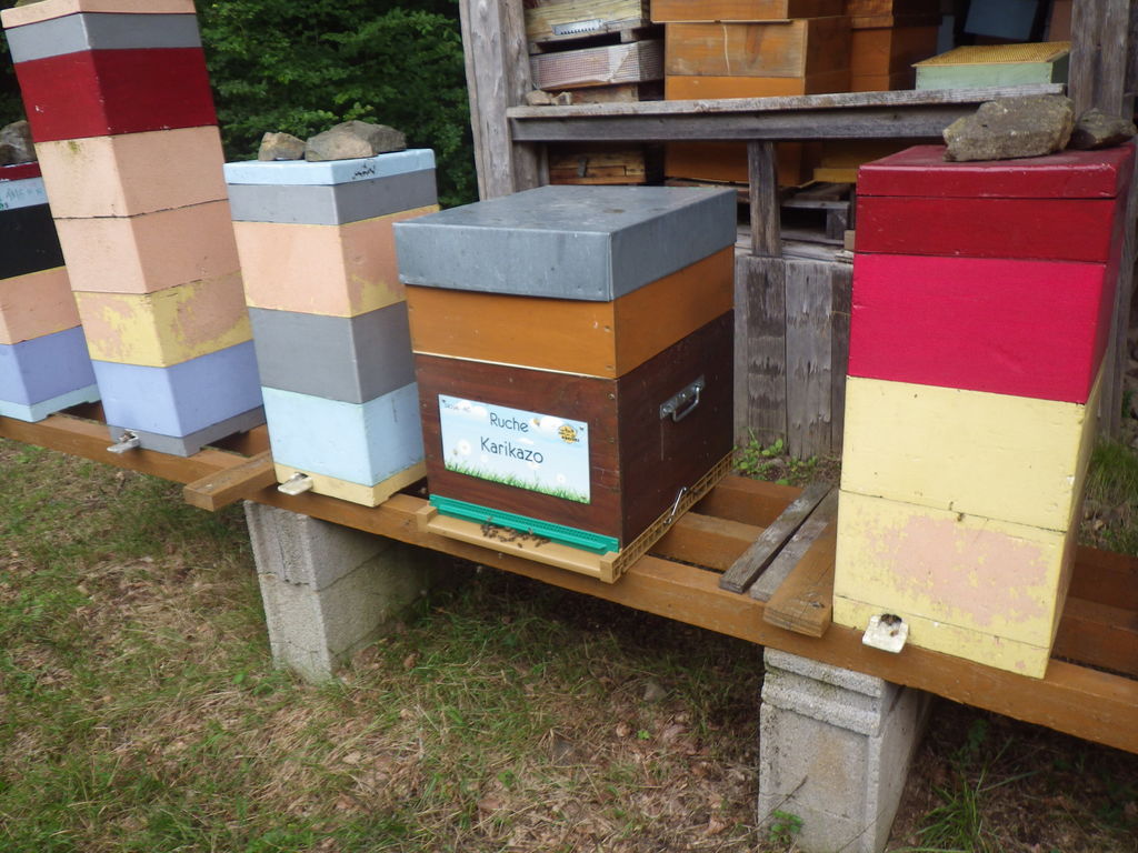 La ruche Karikazo