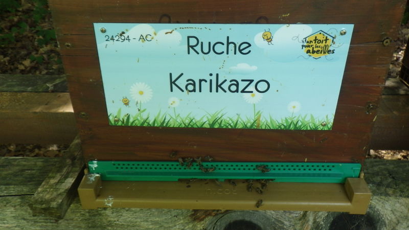 La ruche Karikazo