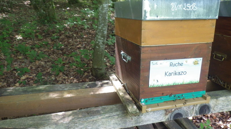 La ruche Karikazo