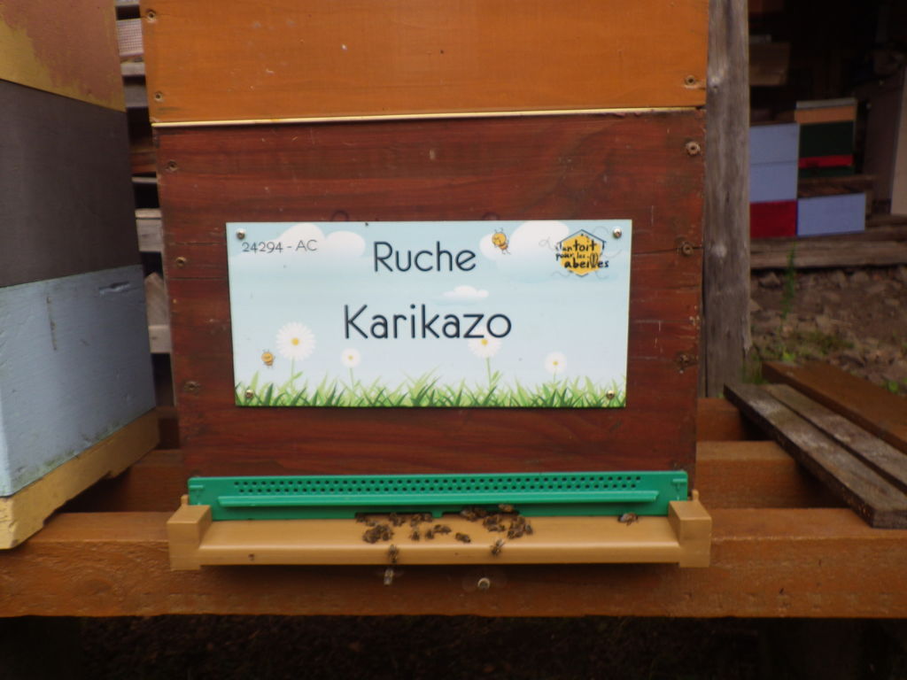 La ruche Karikazo