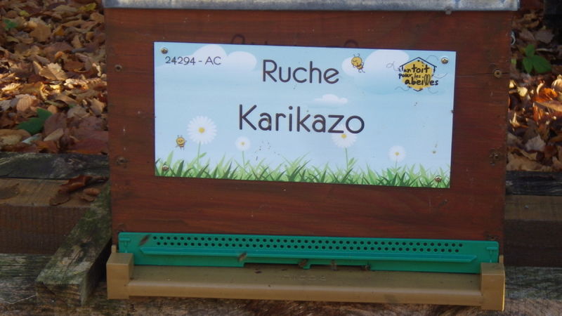 La ruche Karikazo