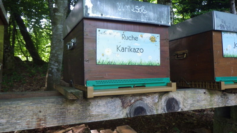 La ruche Karikazo