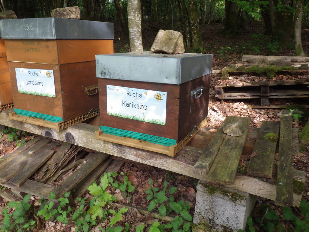 La ruche Karikazo
