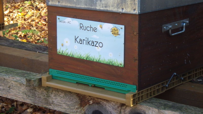 La ruche Karikazo