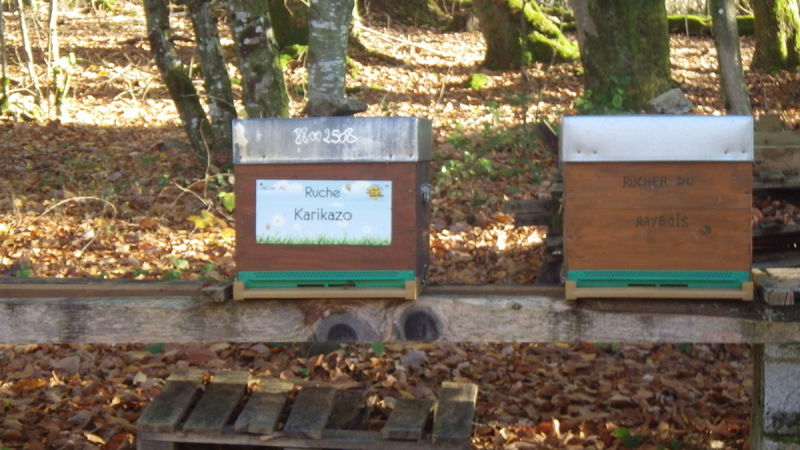 La ruche Karikazo