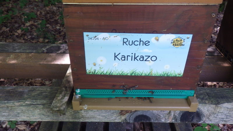 La ruche Karikazo