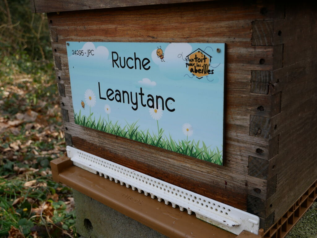 La ruche Leanytanc