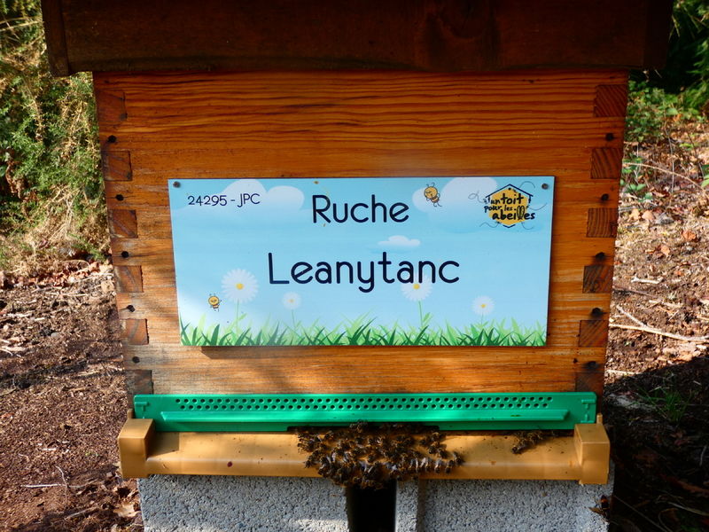La ruche Leanytanc