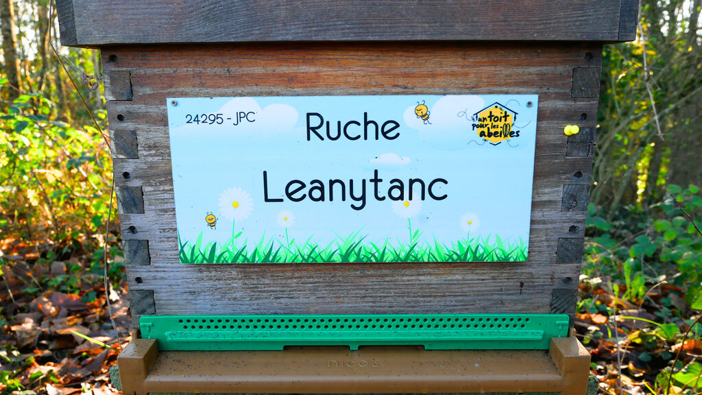 La ruche Leanytanc