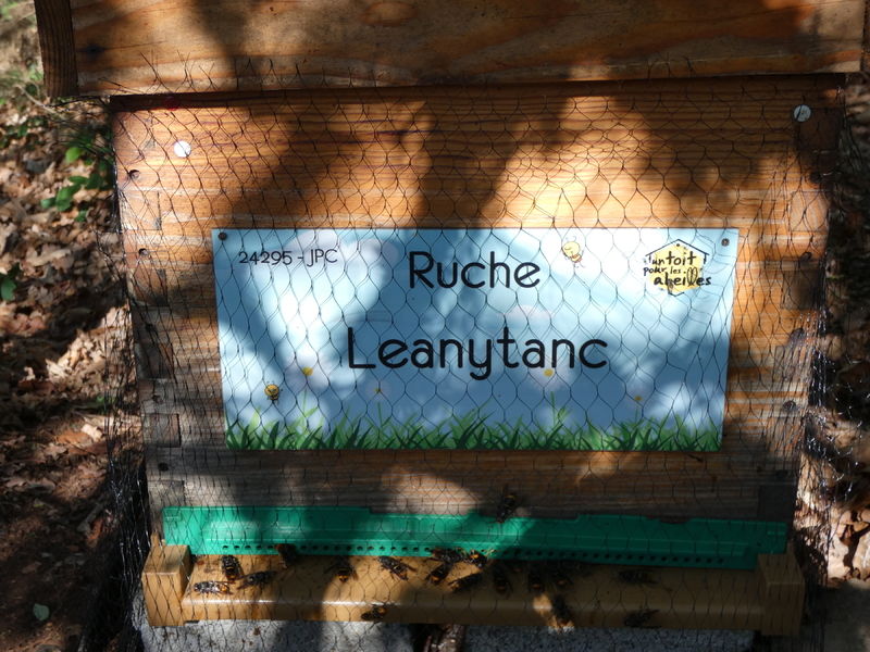 La ruche Leanytanc