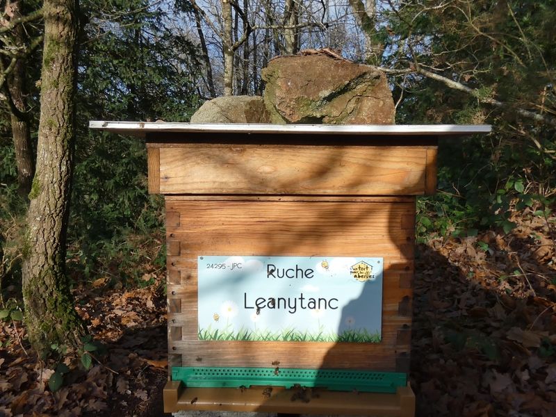 La ruche Leanytanc
