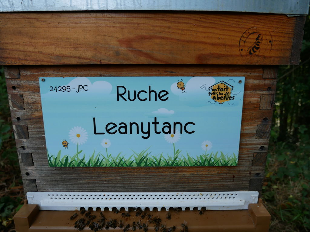 La ruche Leanytanc