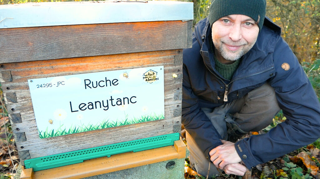 La ruche Leanytanc