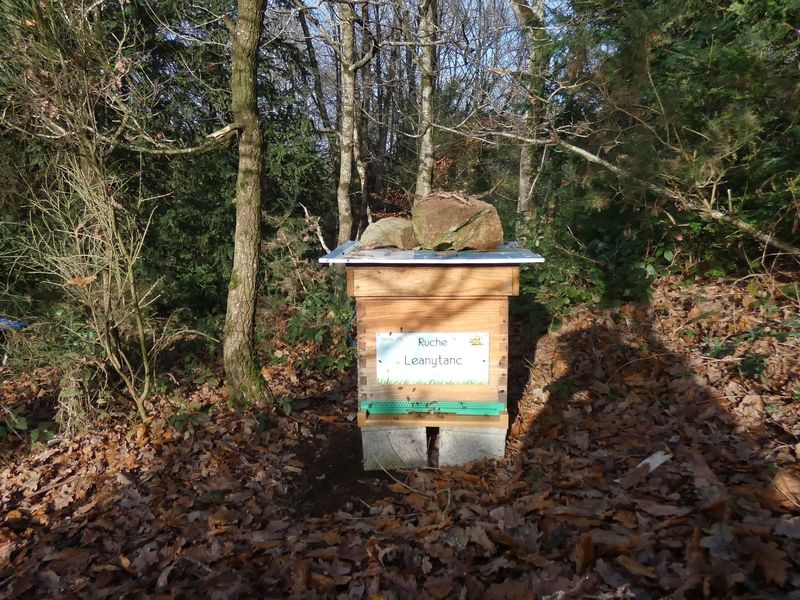 La ruche Leanytanc