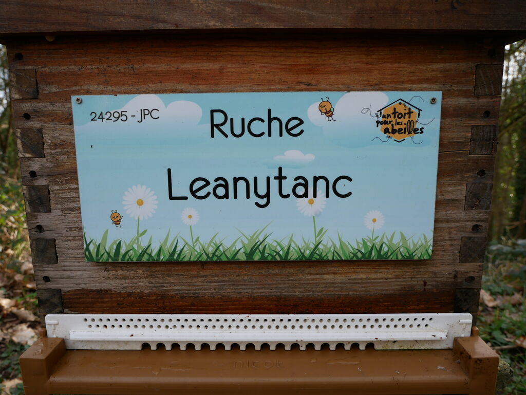 La ruche Leanytanc