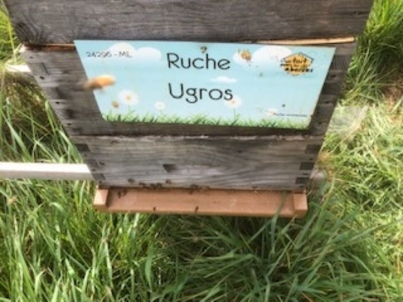 La ruche Ugros