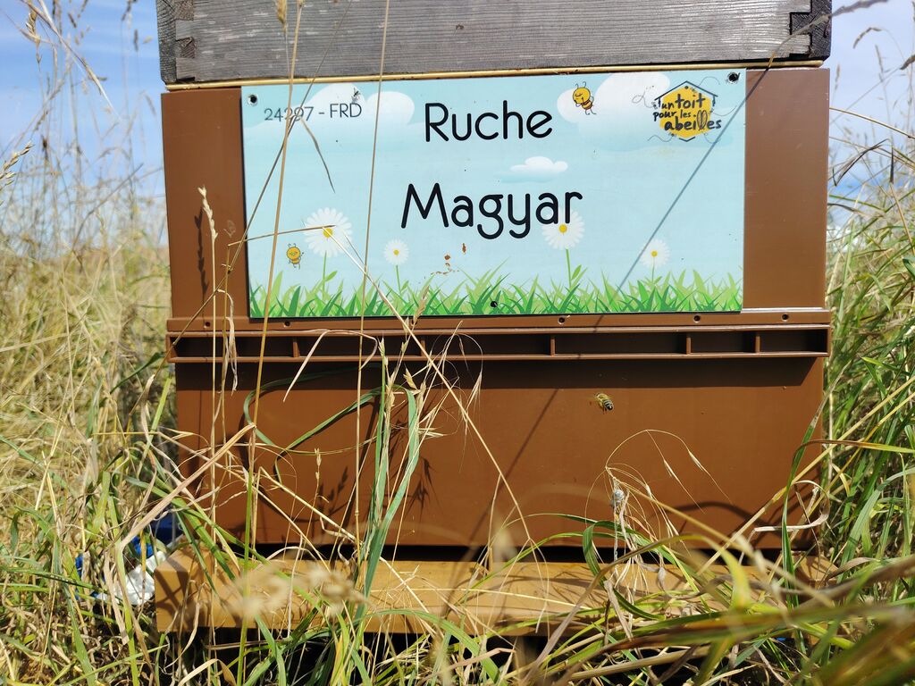 La ruche Magyar
