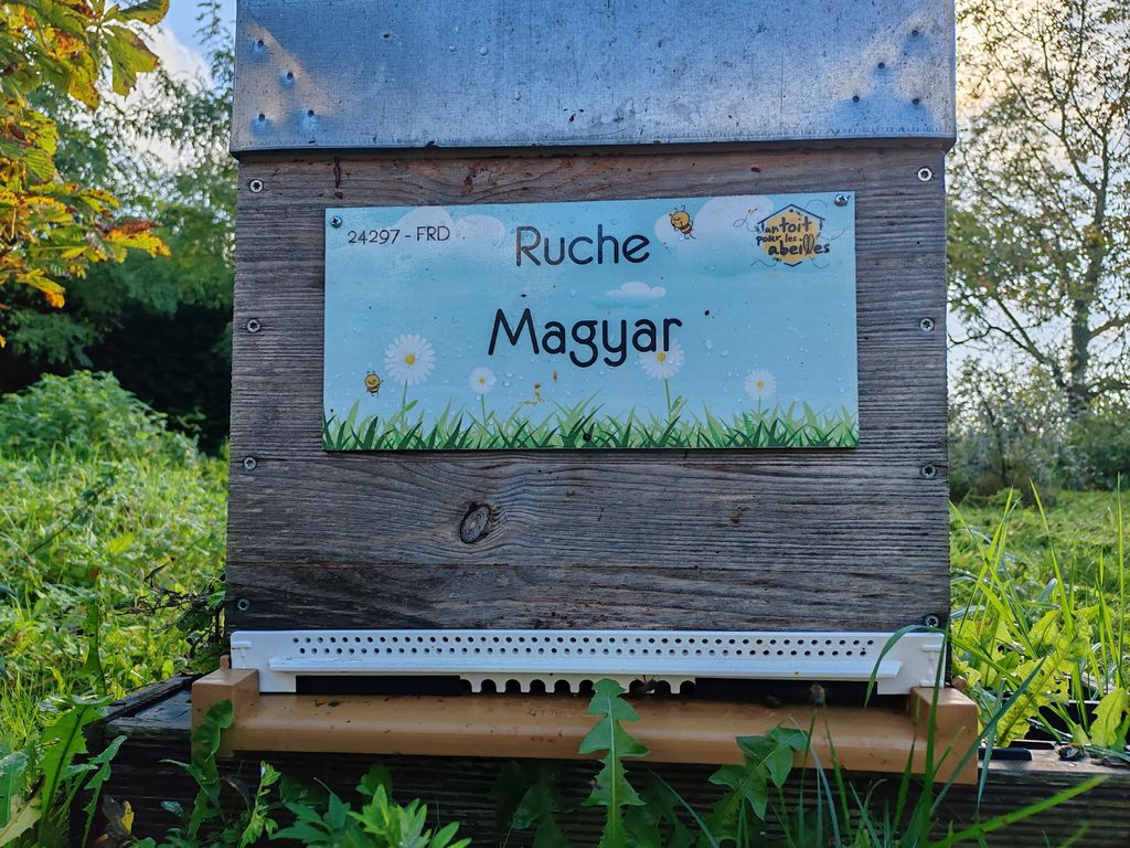 La ruche Magyar