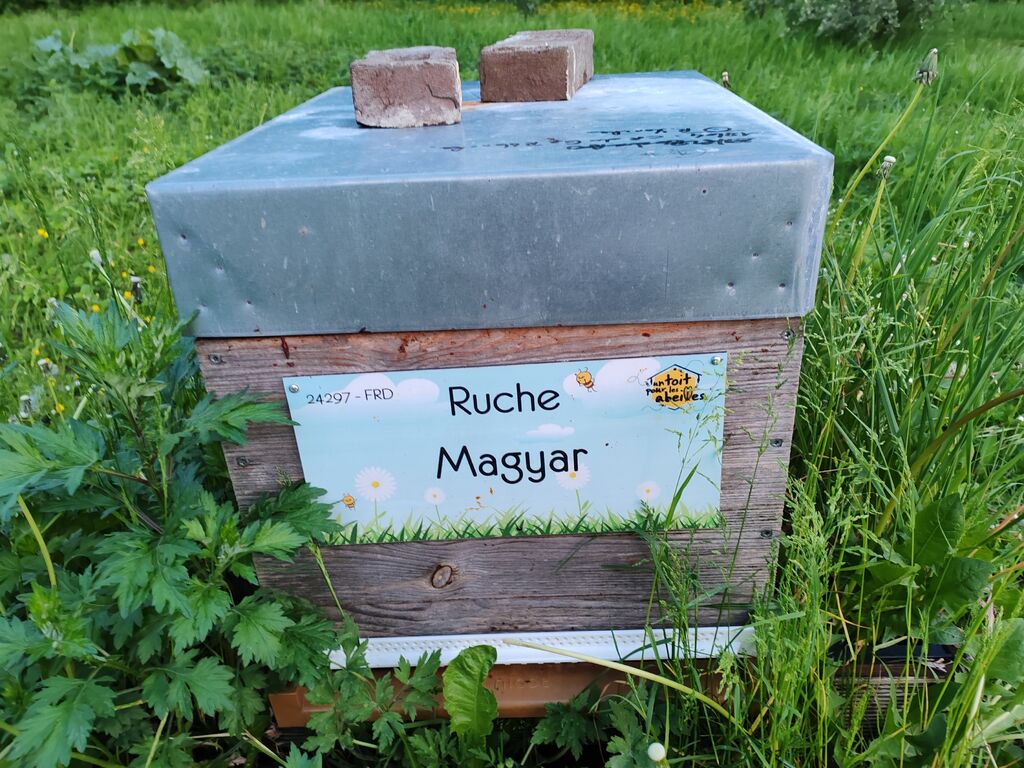 La ruche Magyar