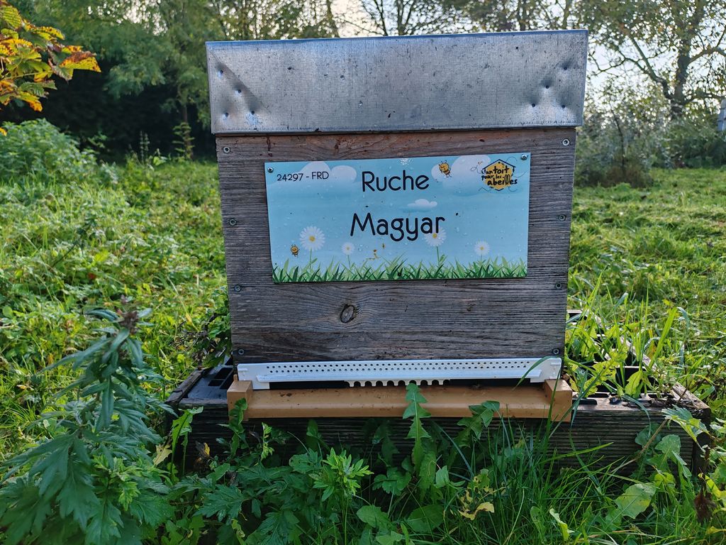 La ruche Magyar