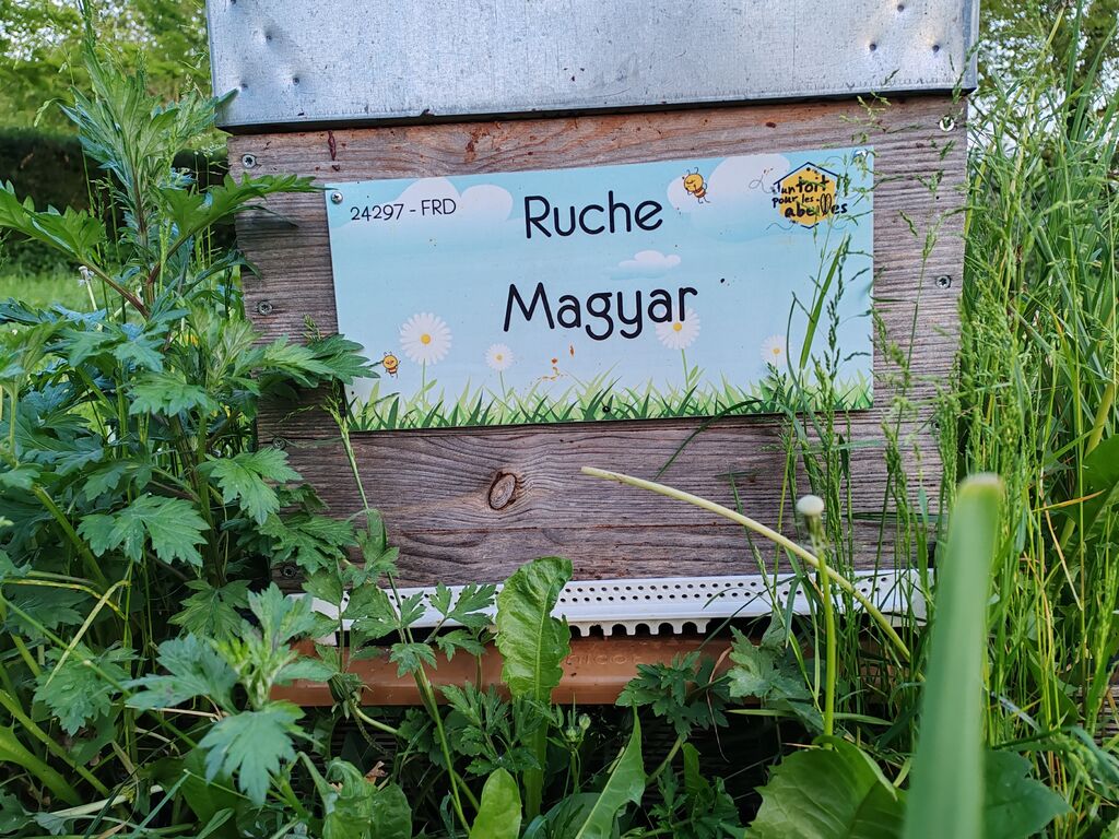 La ruche Magyar