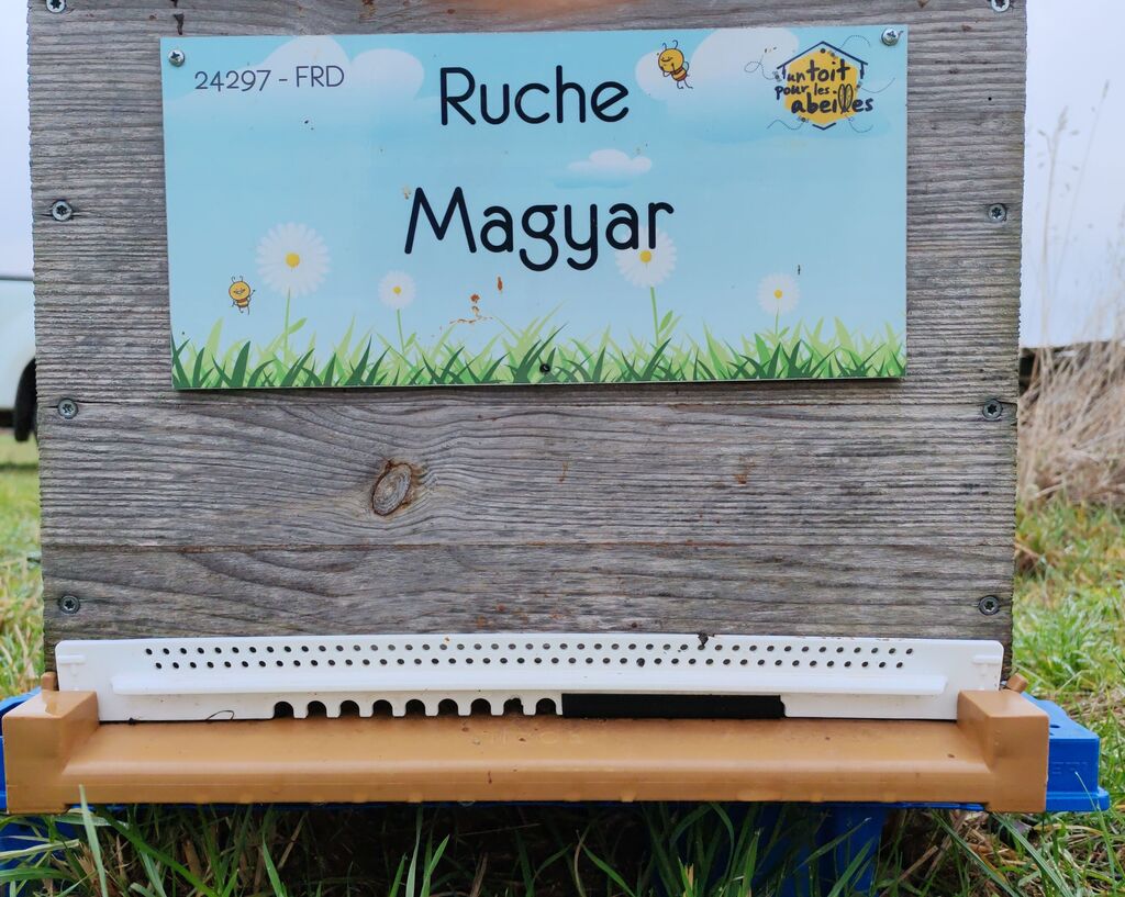 La ruche Magyar