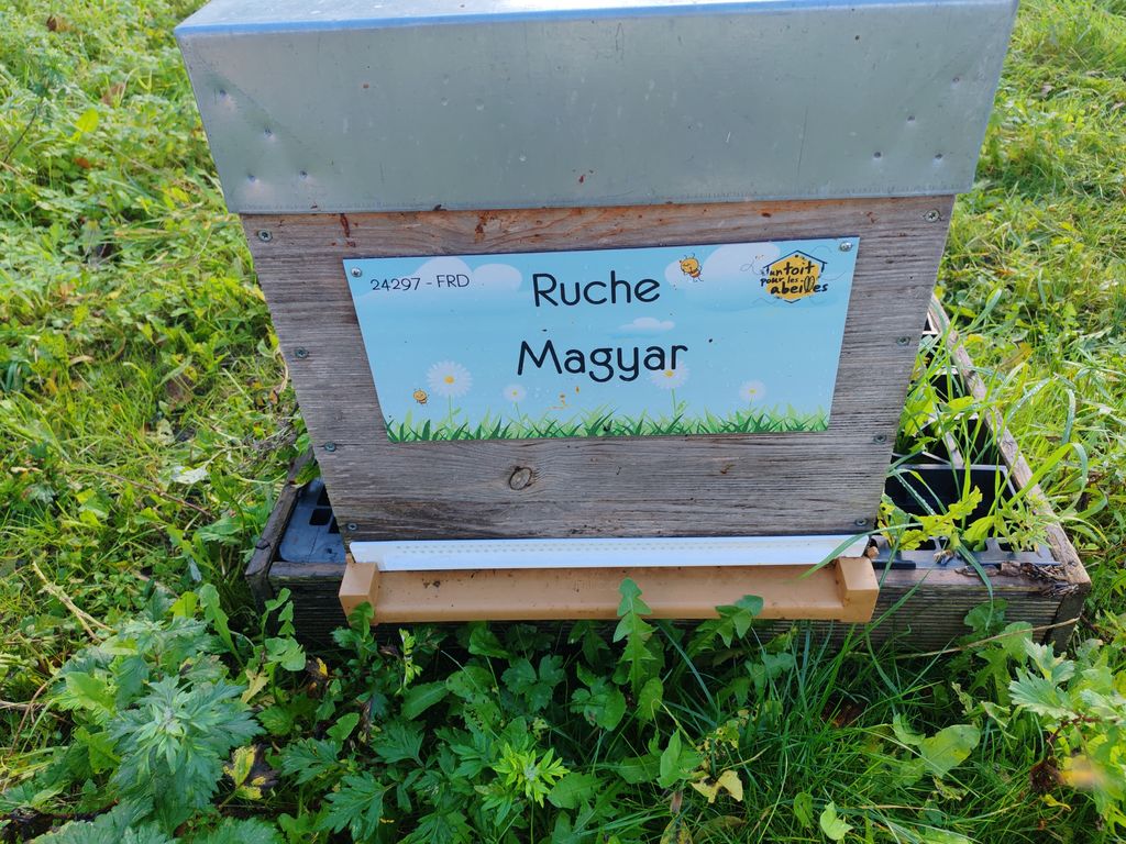 La ruche Magyar
