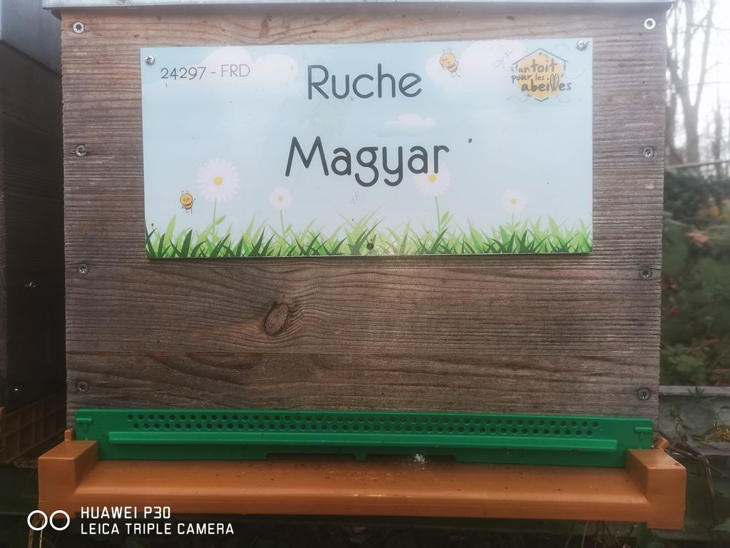 La ruche Magyar