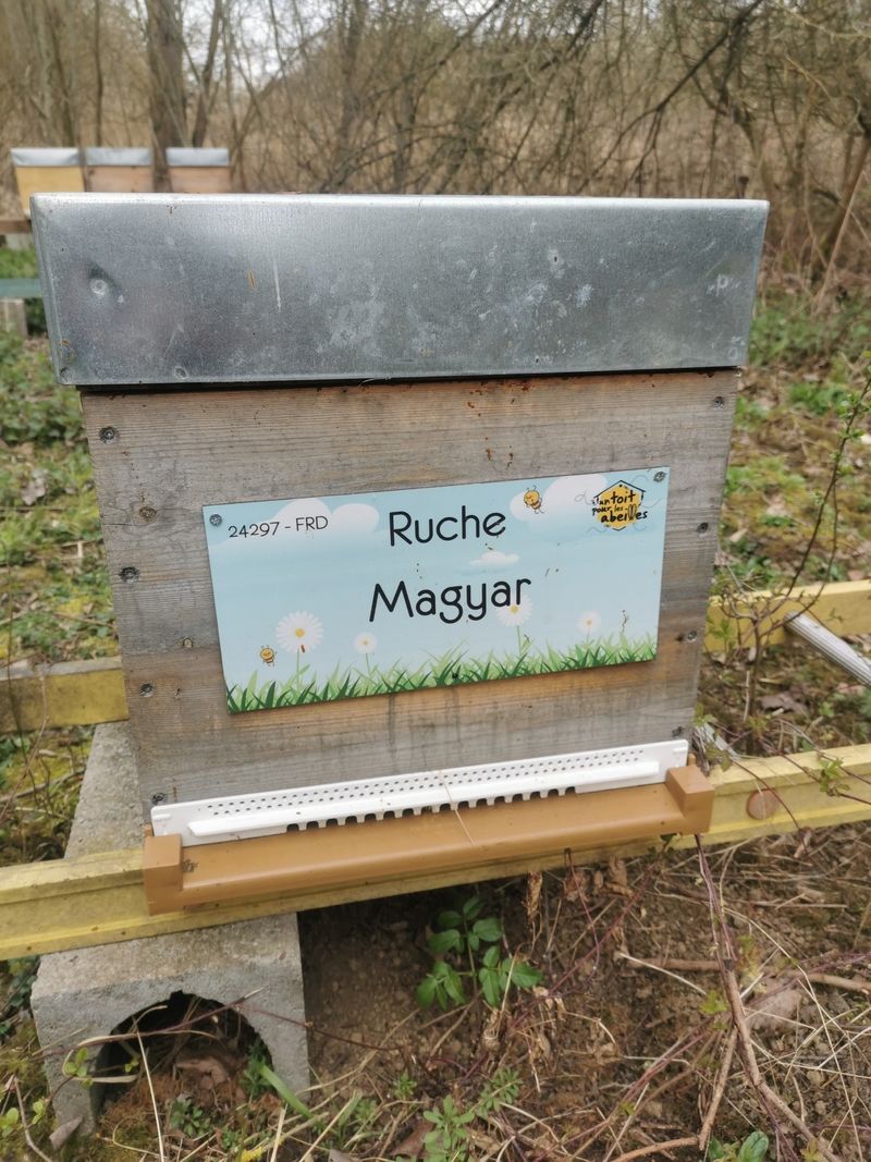 La ruche Magyar