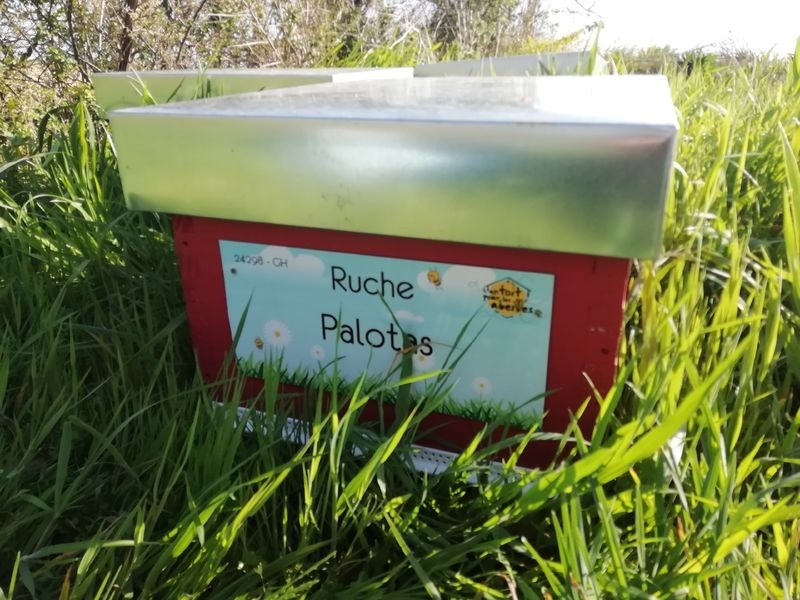 La ruche