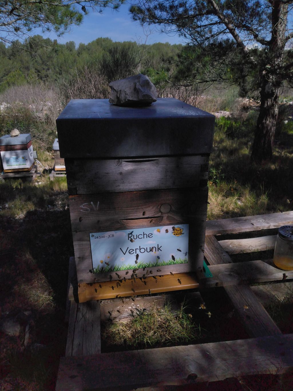 La ruche Verbunk