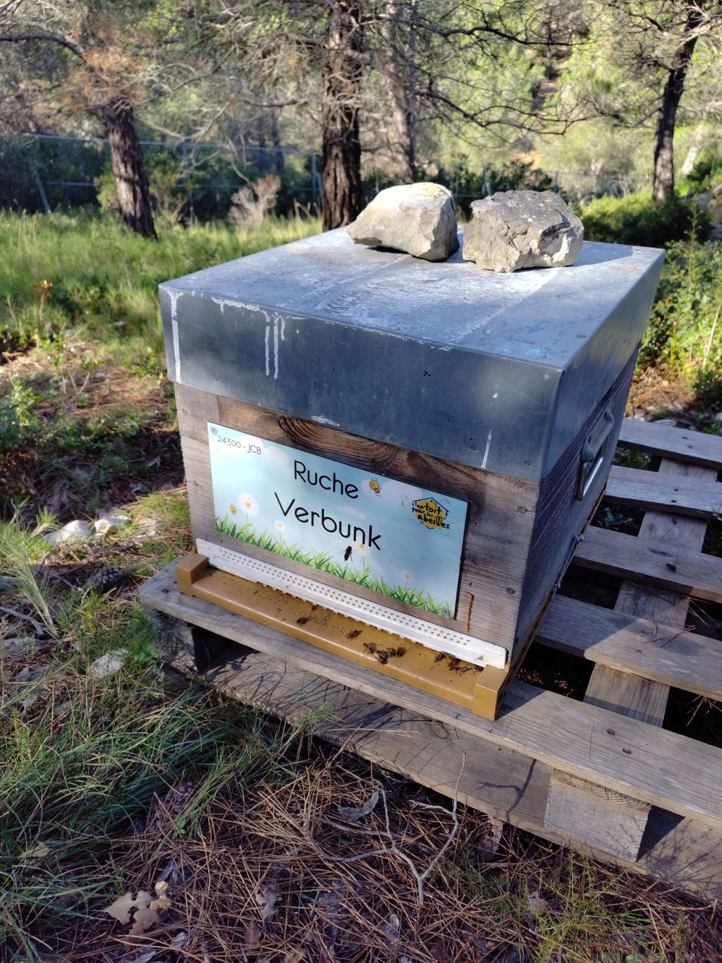 La ruche Verbunk