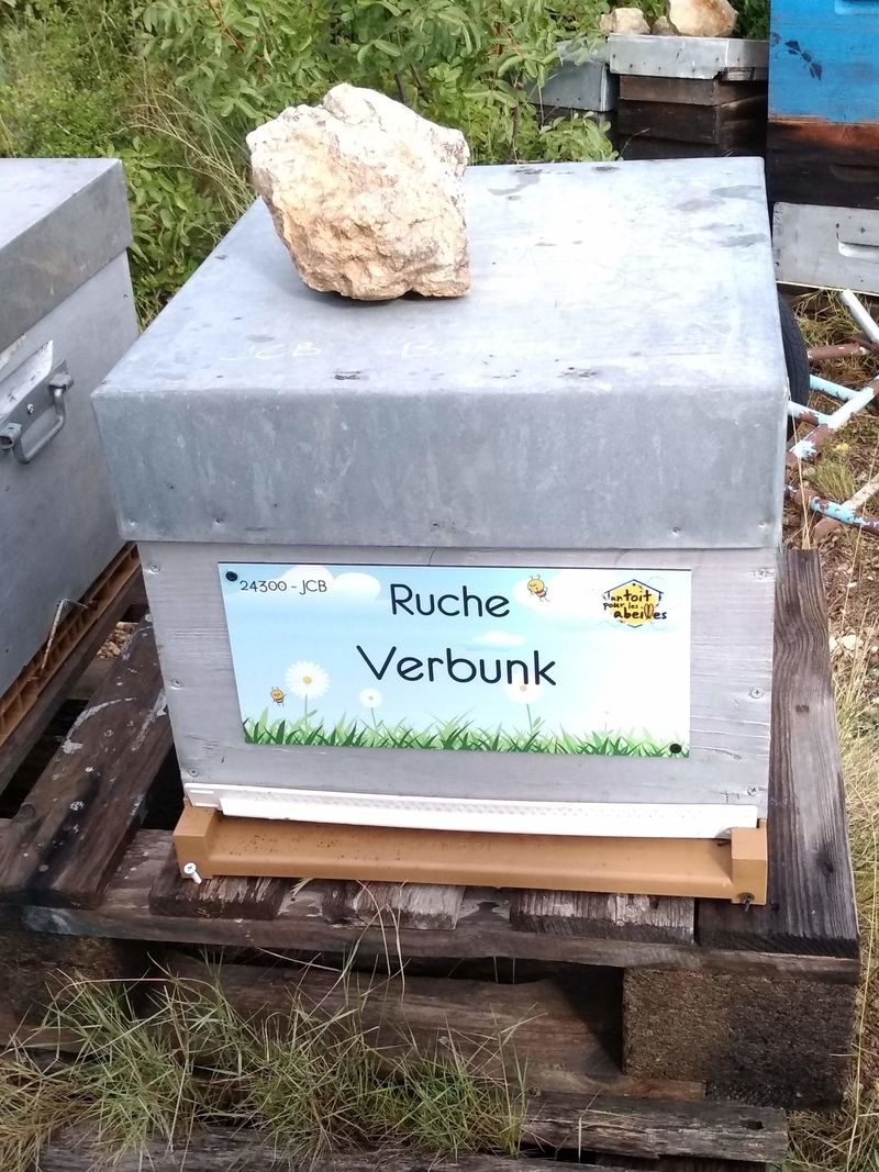 La ruche