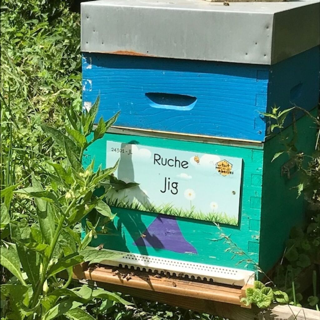 La ruche Jig