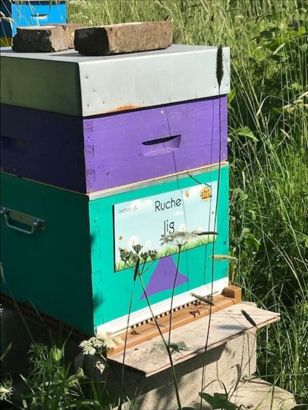La ruche Jig